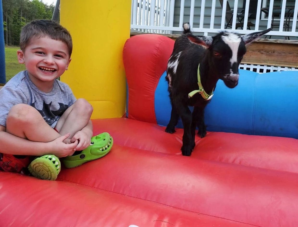 A boy smiling next to a black and white goat on a colorful inflatable.