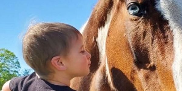 A child lovingly close to a horse's face.