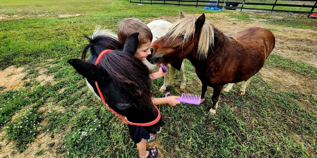 Kids brushing ponies in a grassy field.
