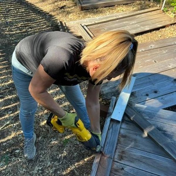 who can tear down my fence
fence demolition
who can remove my old fence4
who can take my fence away