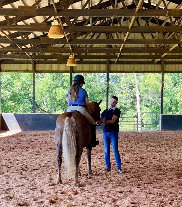 Dressage Clinics, Riding Clinics