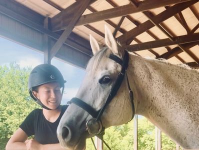 Horse and rider enjoying time together during a lesson