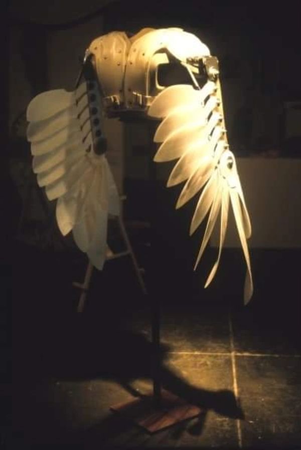 Icarus' wings theatrical prop/costume component.