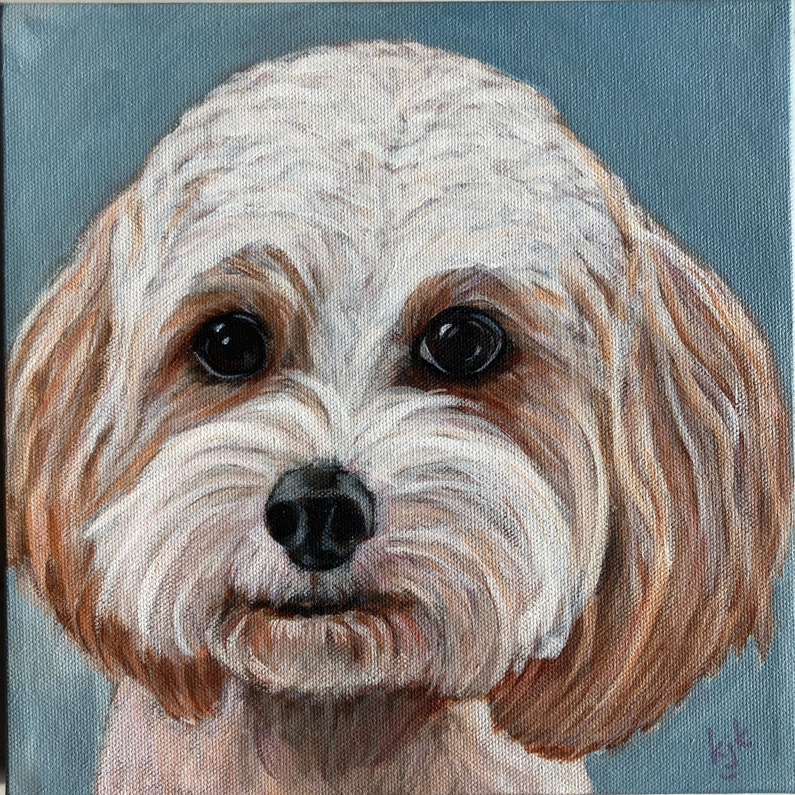Dog pet portrait