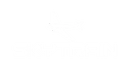 Skytrain aviation