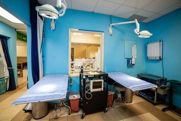 All Species Animal Hospital