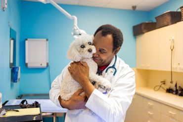 All Species Animal Hospital
