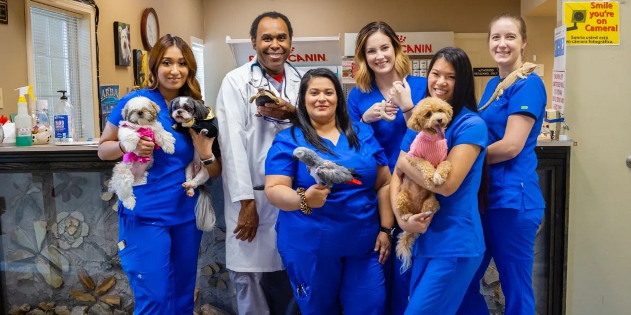 All Species 24 Hour Animal Hospital staff and animals
