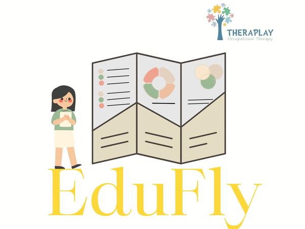 Educational Flyer Program