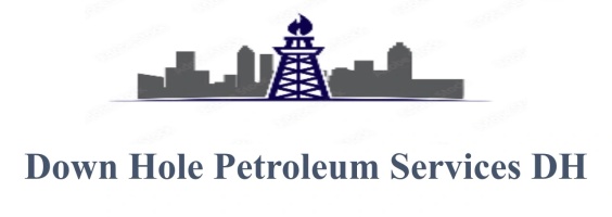DOWNHOLE DH PETROLEUM SERVICES 