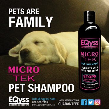 Pet Shampoo Ad