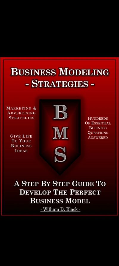 Business Modeling Strategies a step by step how to guide for business development and creation. 