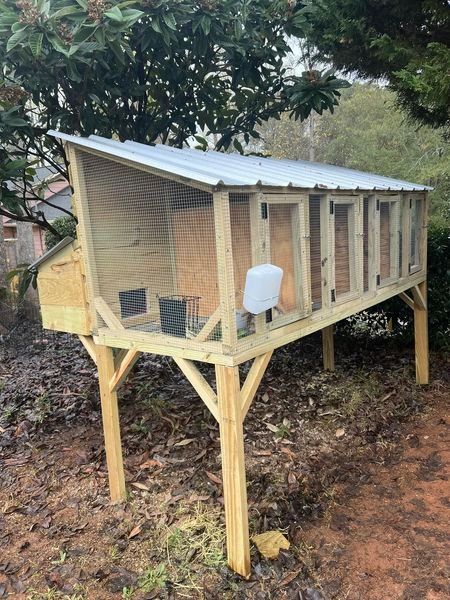 The Bunny Heights Hutch