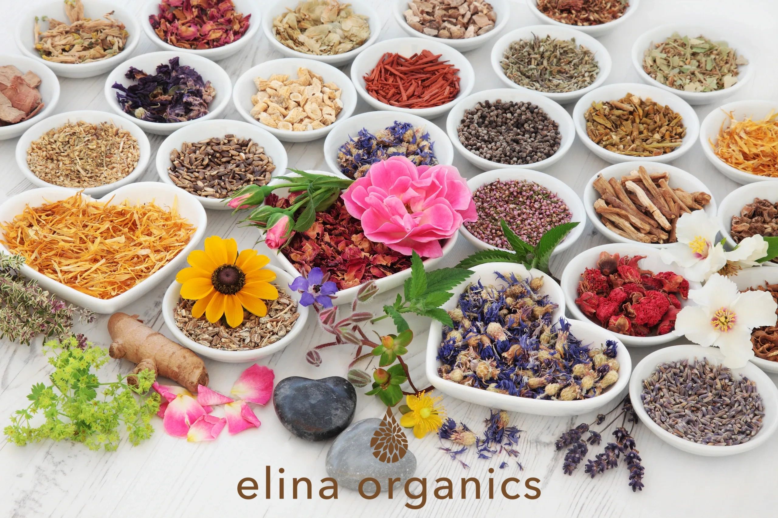 Elina Organics 