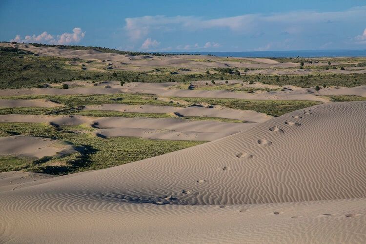 The St. Anthony Sand Dunes of the Sand Creek Desert. (Photo BLM.)