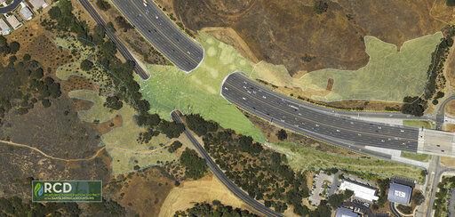 An artist’s rendering shows a planned wildlife crossing over U.S. Highway 101 in Agoura Hills, Calif. It will be the world’s largest and the first of its kind near a major metropolis.