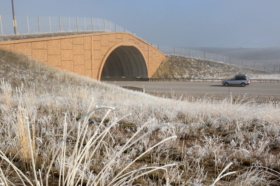 A wildlife crossing near Pinedale, Wyoming. (Laura Lundquist/Missoula Current)