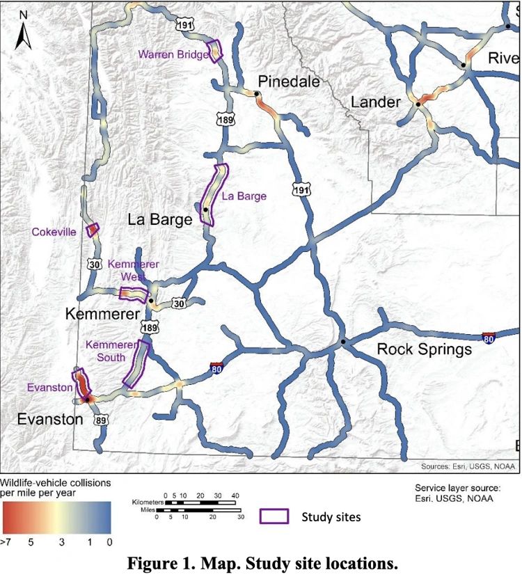   This map shows stretches of highway studied to see how — and if — speed-limit reductions affected vehicle-wildlife collisions. COURTESY IMAGE 