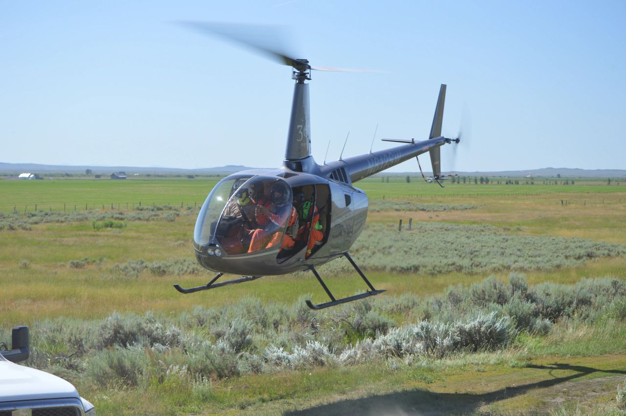 IDFG helicopter used to capture pronghorn | Josh Rydalch