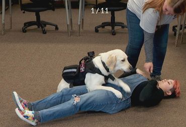 Service dog with trainer and handler.