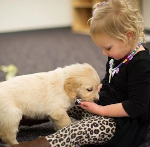 service dog, service dog for kids, diabetes alert, Service dogs in Utah, 4 Paws, rescue