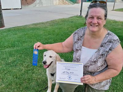 Canine good citizen, Service Dog Certification, Service animals, Utah Service Dog, AKC, GSDOC