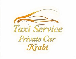 Taxi Service Private Car