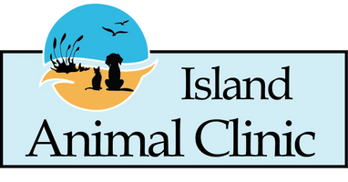 Island Animal Clinic