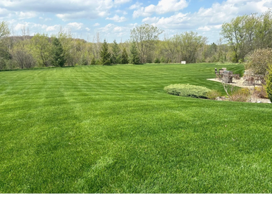A large, well-maintained green lawn with trees and a partly cloudy sky.