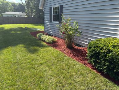 Well-maintained garden bed with shrubs and red mulch along a house.
