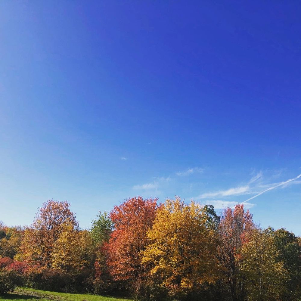 Lots of fresh air and gorgeous foliage.