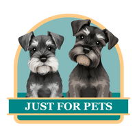 Reliable Dog Walking in Vancouver, WA