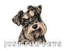 Reliable Dog Walking in Vancouver, WA