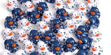 Rubber ducks for hiding on cruise ships