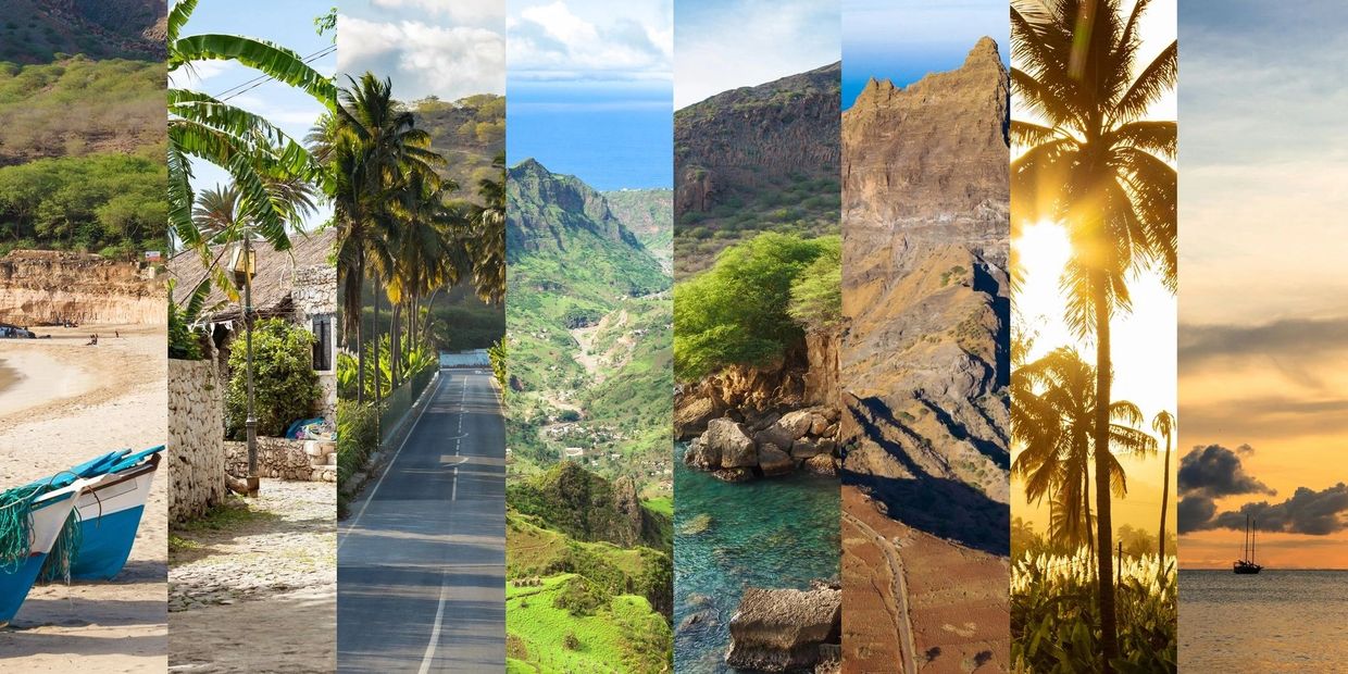A collage showcasing diverse coastal and mountainous landscapes with palm trees and a sunset.