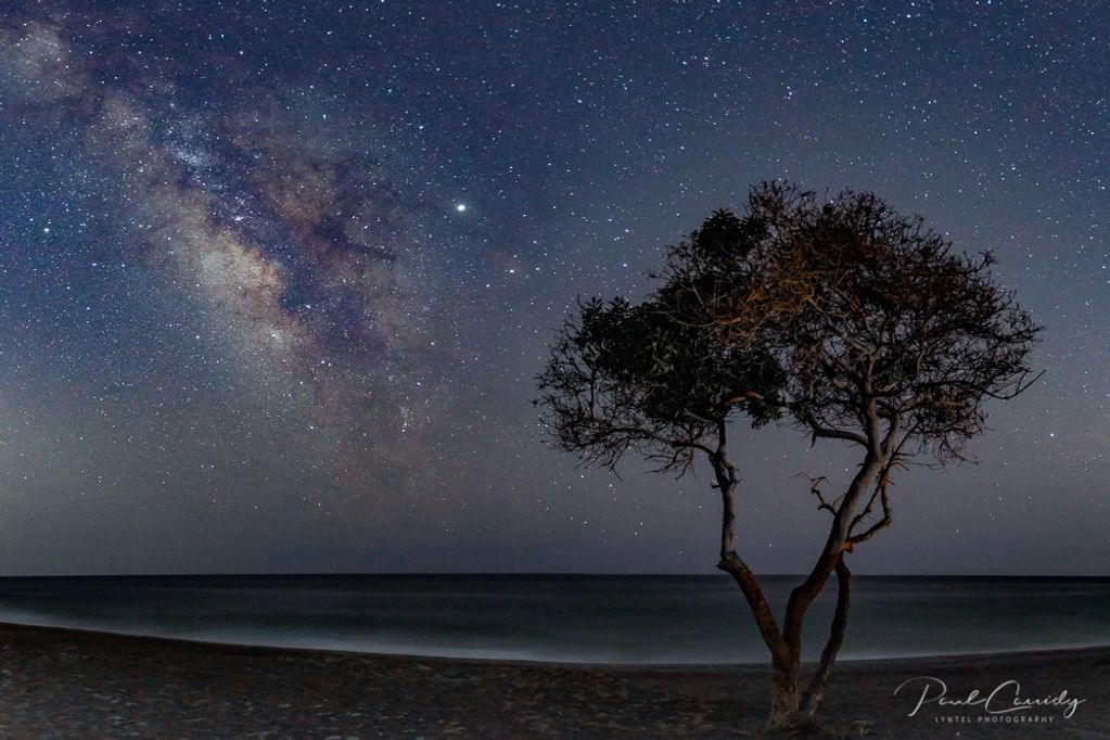 Point Mugu State Park, Sycamore Cove, Malibu, California, Pacific Coast Highway, fine art image