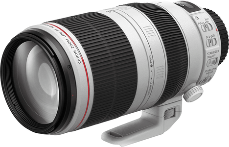 Canon 100-400mm f/4.5-5.6L IS II