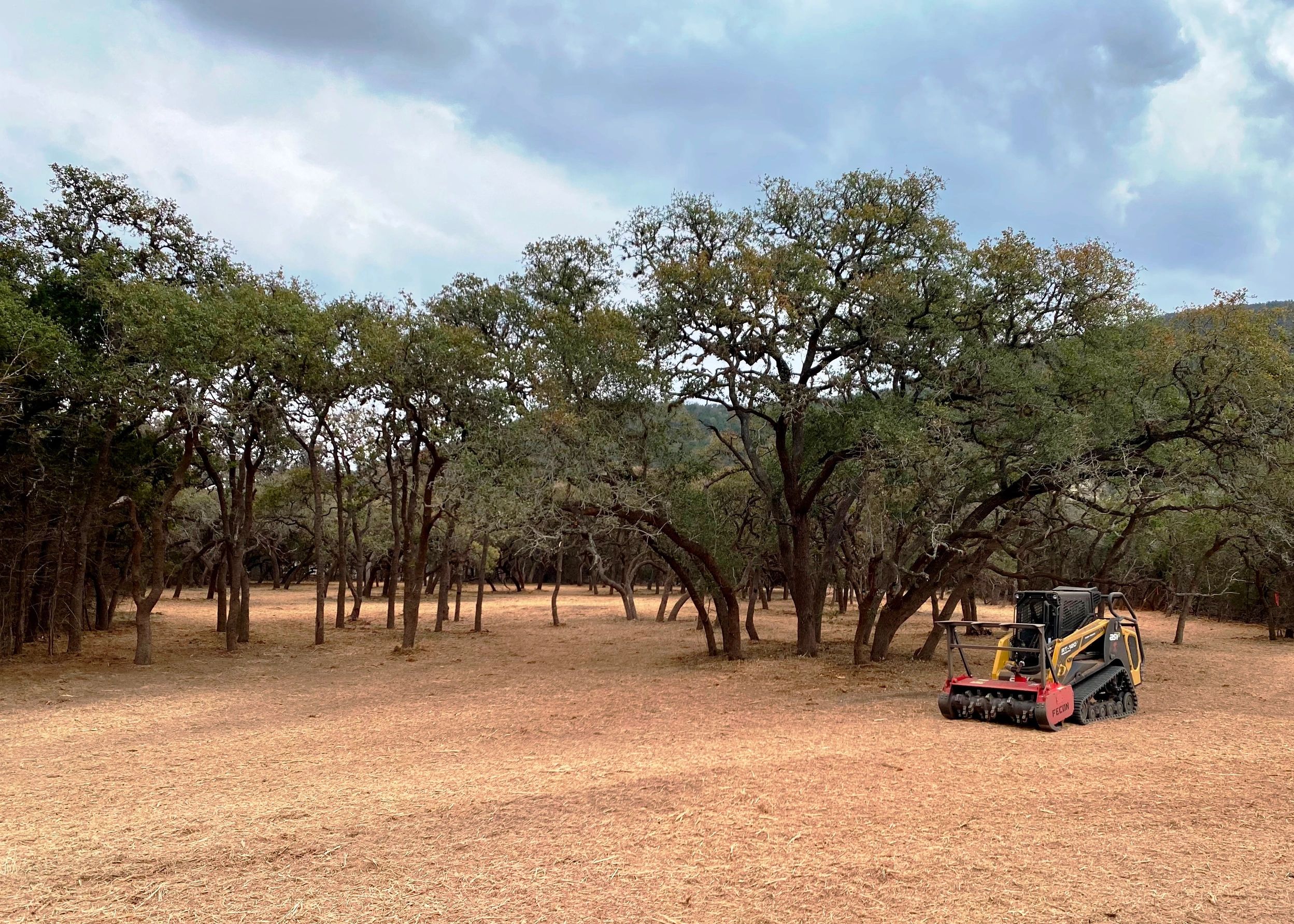 Land Clearing in The Woodlands Texas l Dirtwirx Inc.