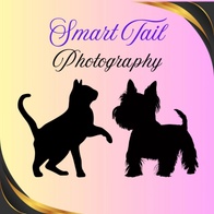 Smart Tail Photo