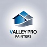 Valley Pro Painter