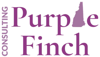 Purple Finch