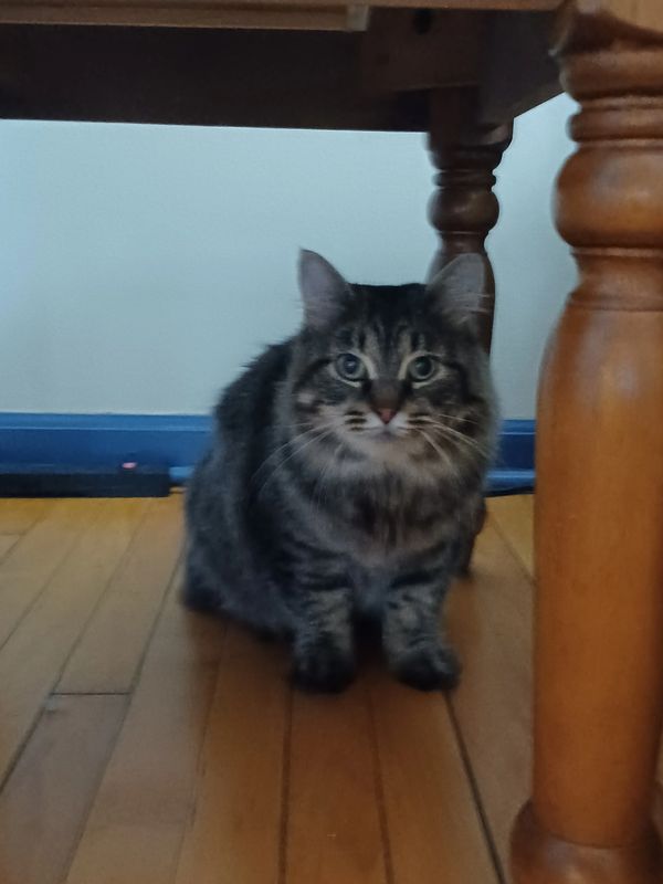Lulu