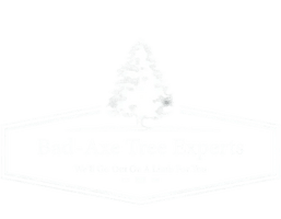 Bad-Axe Tree Experts