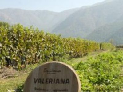 Chili, Wineries, Santiago’s Intl. Airport, Port of Valparaiso, Casablanca Valley, Chilean wine      