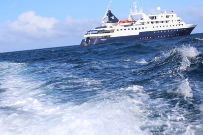 Galápagos islands,​ Galapagos Penguin, Red-Billed Tropicbird, Blue-Footed Booby, Frigatebird-Pelican