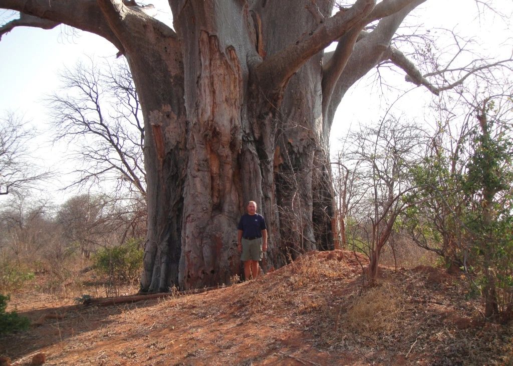 2009_Baobab.JPG