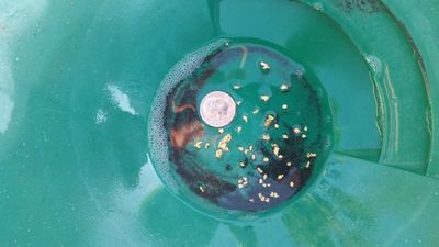 Gold Panning 