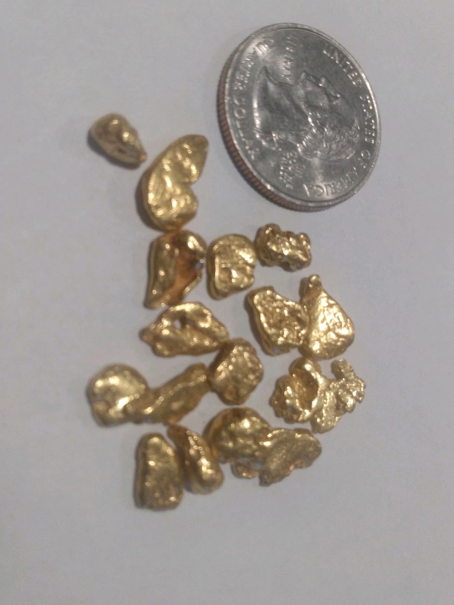 MONTANA GOLD NUGGET PAY DIRT 1 GRAM OF GOLD GUARANTEED