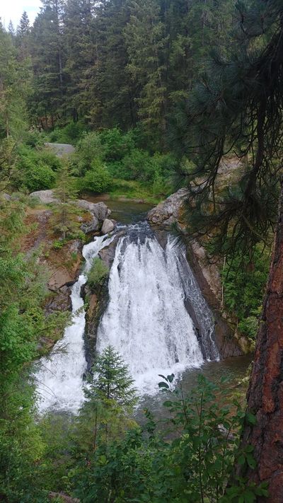 Douglas Falls Viewpoint