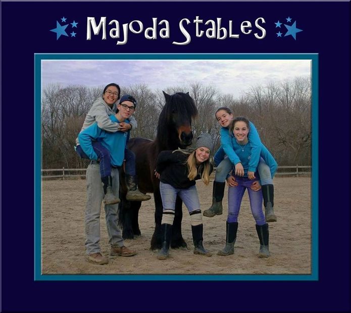 Riding Lessons and Therapeutic Riding Majoda Stables